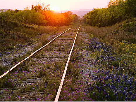轨道,日落,德克萨斯,丘陵地区,美国