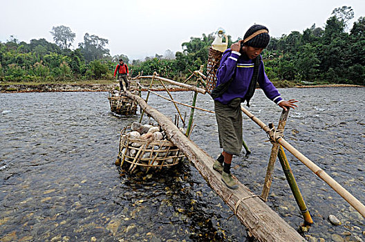 缅甸,区域,游客,穿过,河,竹子,桥