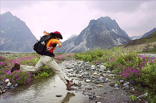 女人,远足者,跳跃,河流,远足,野花,克拉克湖,国家公园,阿拉斯加