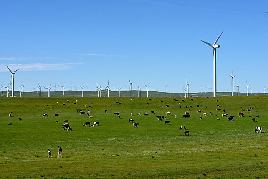 风力发电,草原,内蒙古,牧马,牧牛