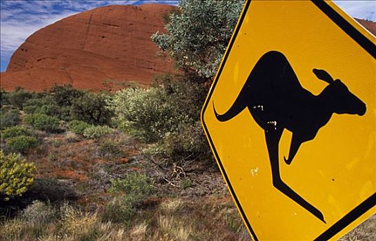 澳大利亚,北领地州,爱丽丝泉,交通标志,警告,袋鼠,旁侧,道路,内陆,红岩,奥加斯石群,后面