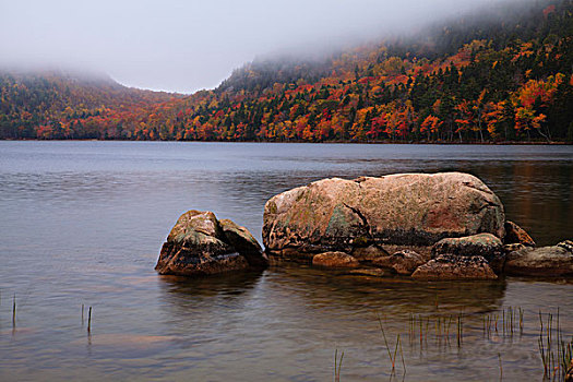 美国,缅因,阿卡迪亚国家公园,雾,秋天,水塘