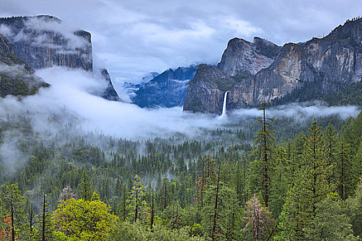 瀑布,树林,婚纱瀑,船长峰,优胜美地山谷,优胜美地国家公园,加利福尼亚,美国
