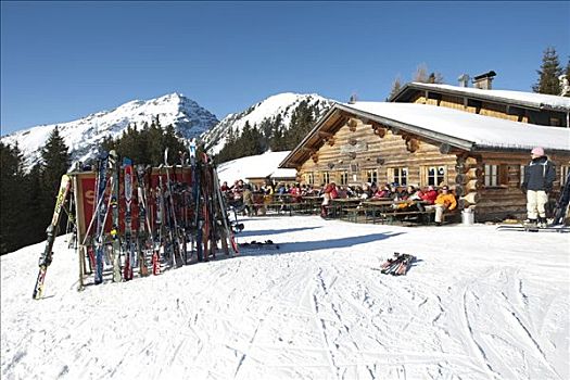 滑雪,站立,山地牧场,提洛尔,奥地利,欧洲