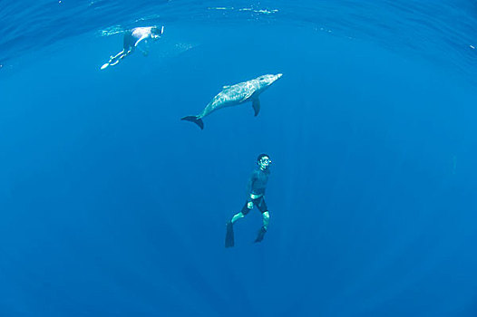 海洋生物