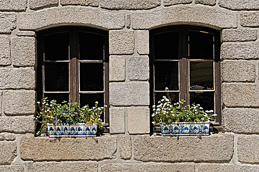 种植器皿,窗户