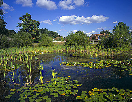 英格兰,萨里