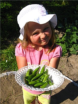 小女孩,计划,新鲜,豌豆
