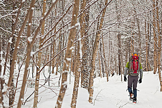 男青年,远足,树林,攀冰,白天,魁北克,加拿大