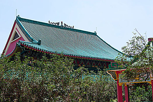 砂质黏土,竹林,寺院,香港