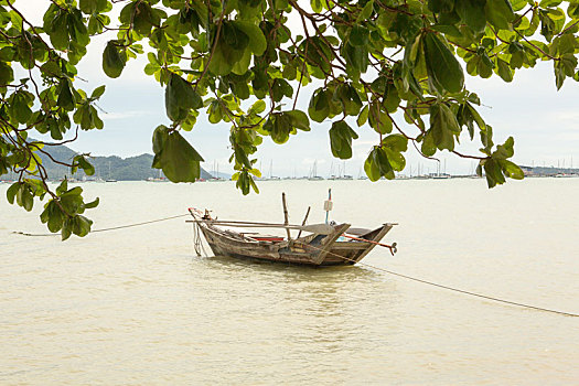 渔船,海中,泰国