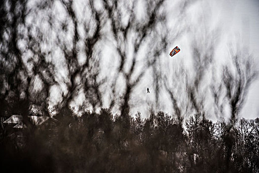 滑翔伞,风景,树