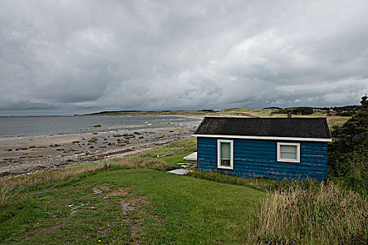 房子,海岸,小湾,格罗莫讷国家公园,纽芬兰,拉布拉多犬,加拿大
