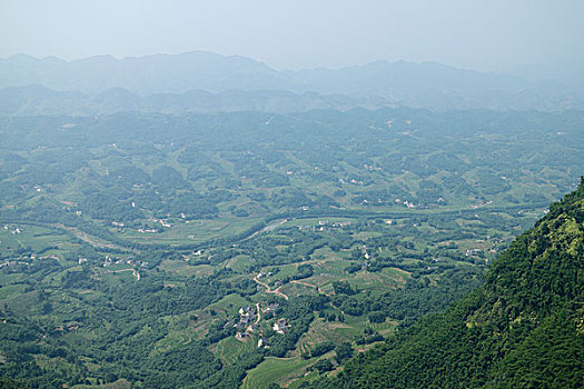 俯拍平原,茂密的竹子