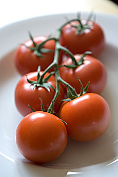 西红柿,一把
