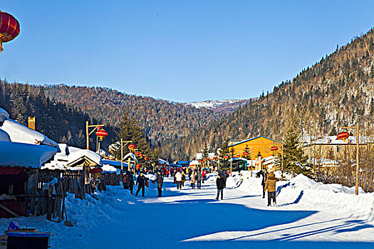 雪乡,双峰林场,村庄,风景,白天,黑龙江,牡丹江