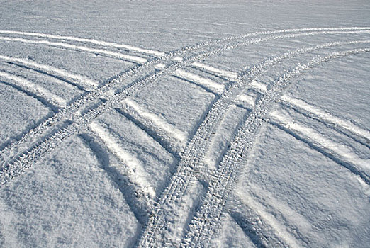 加拿大,艾伯塔省,轮胎,雪