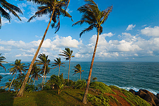 自然,风景,海洋,地平线,斯里兰卡