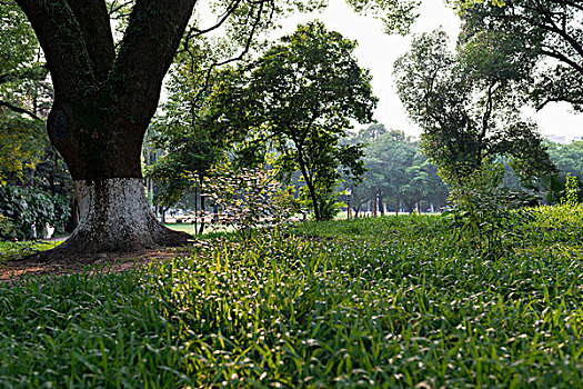 中山大学