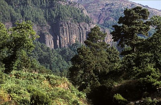 山谷,特内里费岛,加纳利群岛,西班牙