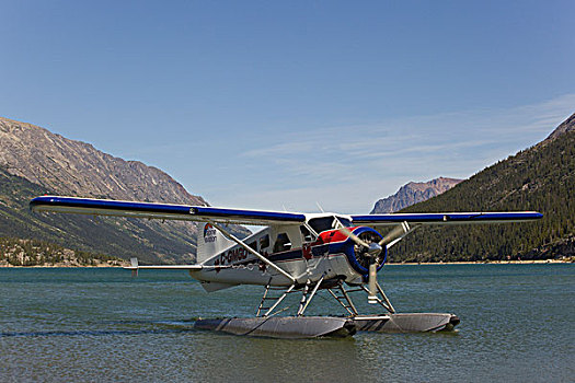 滑行,加拿大,海狸,水上飞机,两栖飞机,靠近,历史,班尼特,湖,小路,育空地区,不列颠哥伦比亚省
