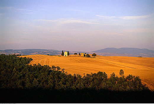农田,托斯卡纳,意大利