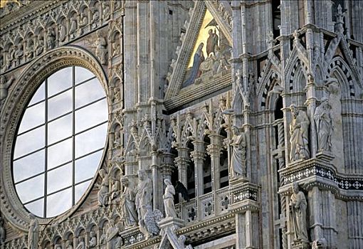 圣母升天教堂,大教堂,建筑,大,圆花窗,镶嵌图案,锡耶纳,托斯卡纳,意大利,欧洲