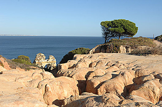 葡萄牙,拉各斯,南海岸,风景,海洋,石头,树