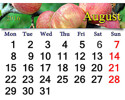 日程,八月,苹果