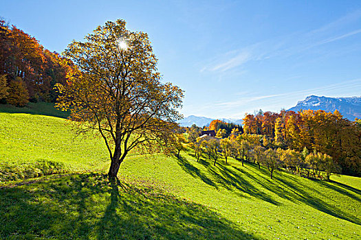 风景,奥地利