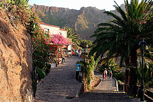 街道,特内里费岛,加纳利群岛,2007年