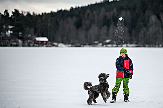 男孩,玩,狗,冰湖