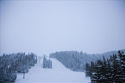 滑雪,山,班芙国家公园,班芙,艾伯塔省,加拿大