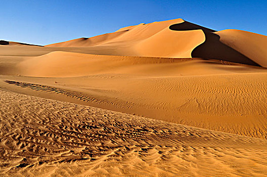 沙丘,阿尔及利亚,撒哈拉沙漠,北非