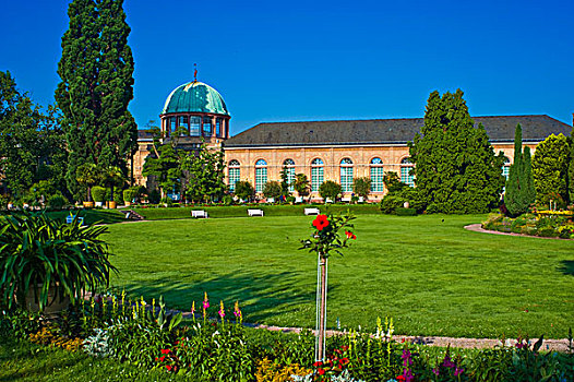 植物,花园,城堡花园,卡尔斯鲁厄,巴登符腾堡,德国,欧洲