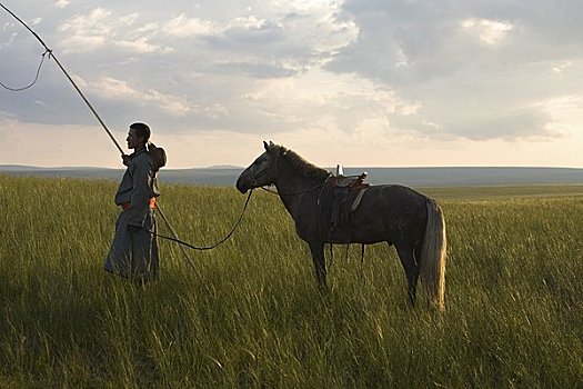 肖像,骑手,马,蒙古,中国