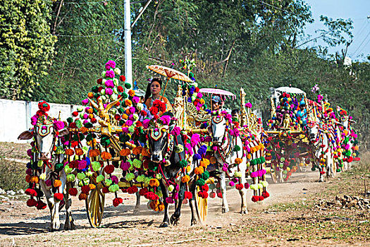 喜庆,装饰,牛,手推车,传说,区域,缅甸,亚洲