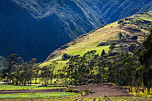 农田,因巴布拉省,省,厄瓜多尔