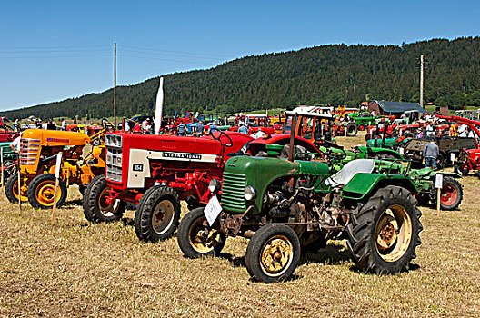 展示,旧式,拖拉机,农机,瑞士,欧洲