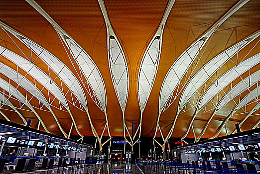 浦东国际机场号航站楼