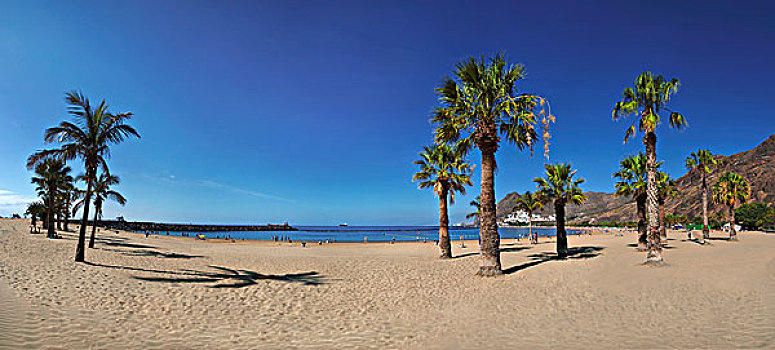 棕榈树,沙滩,干盐湖,特内里费岛,加纳利群岛,西班牙,欧洲