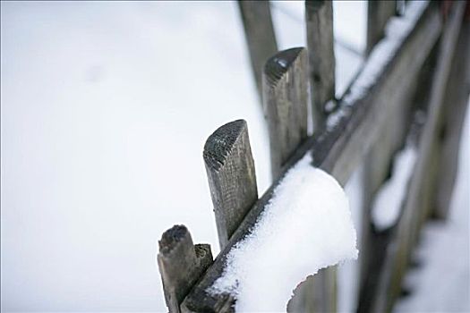 雪,栅栏