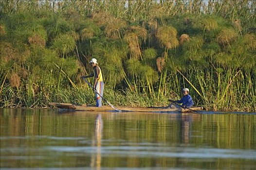 男人,独木舟,船,河,博茨瓦纳,非洲