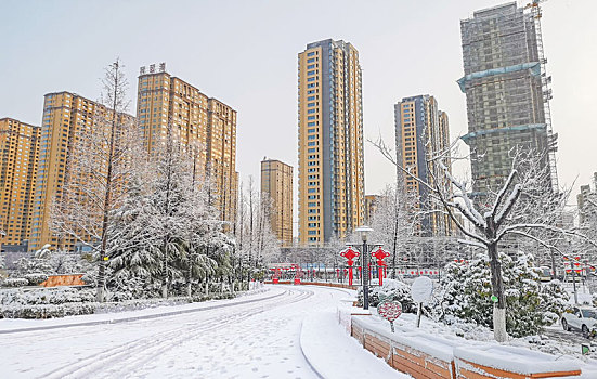 雪景