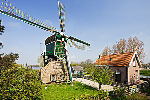 荷兰,传统风车,靠近,房子,运河