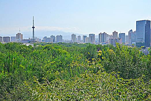 乌鲁木齐市区街道