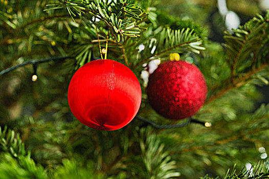 圣诞装饰,树上