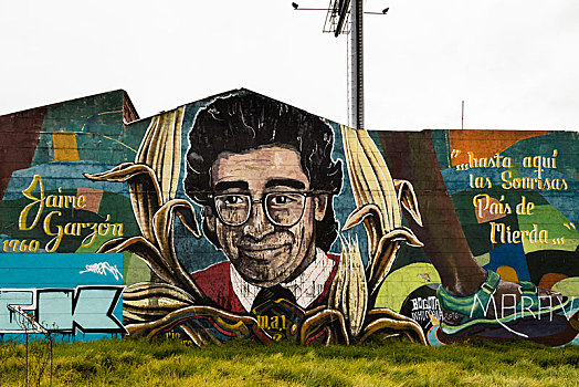 街头艺术,壁画,波哥大,地区,美洲,哥伦比亚,南美