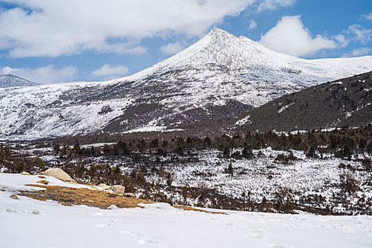 西藏色季拉雪山