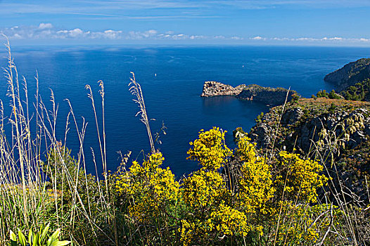不动产,海岬,靠近,瓦尔德摩莎,马略卡岛,巴利阿里群岛,西班牙,欧洲